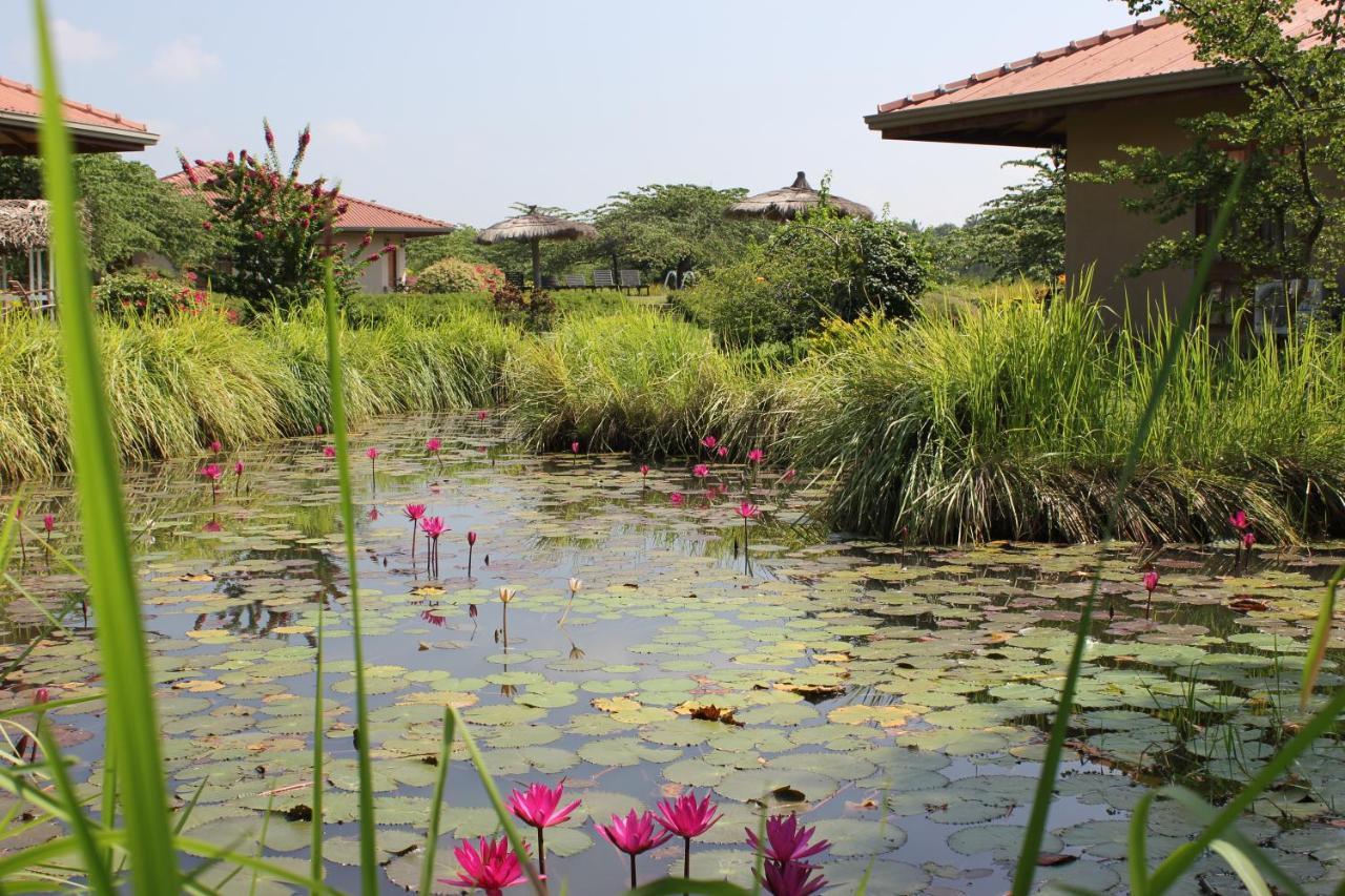 Hibiscus Garden Hotel Тисамахарама Екстериор снимка