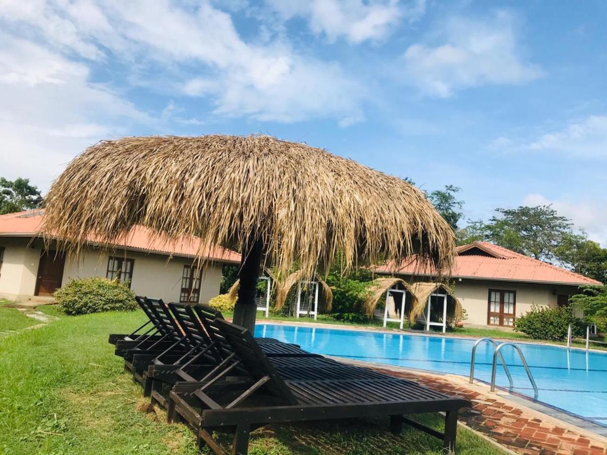Hibiscus Garden Hotel Тисамахарама Екстериор снимка